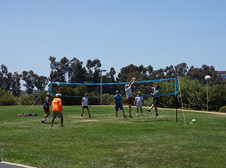 La Jolla staff enjoying a game of volleyball
